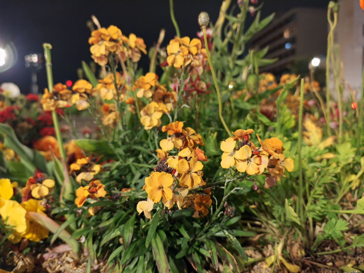 oppo find x9 ultra test