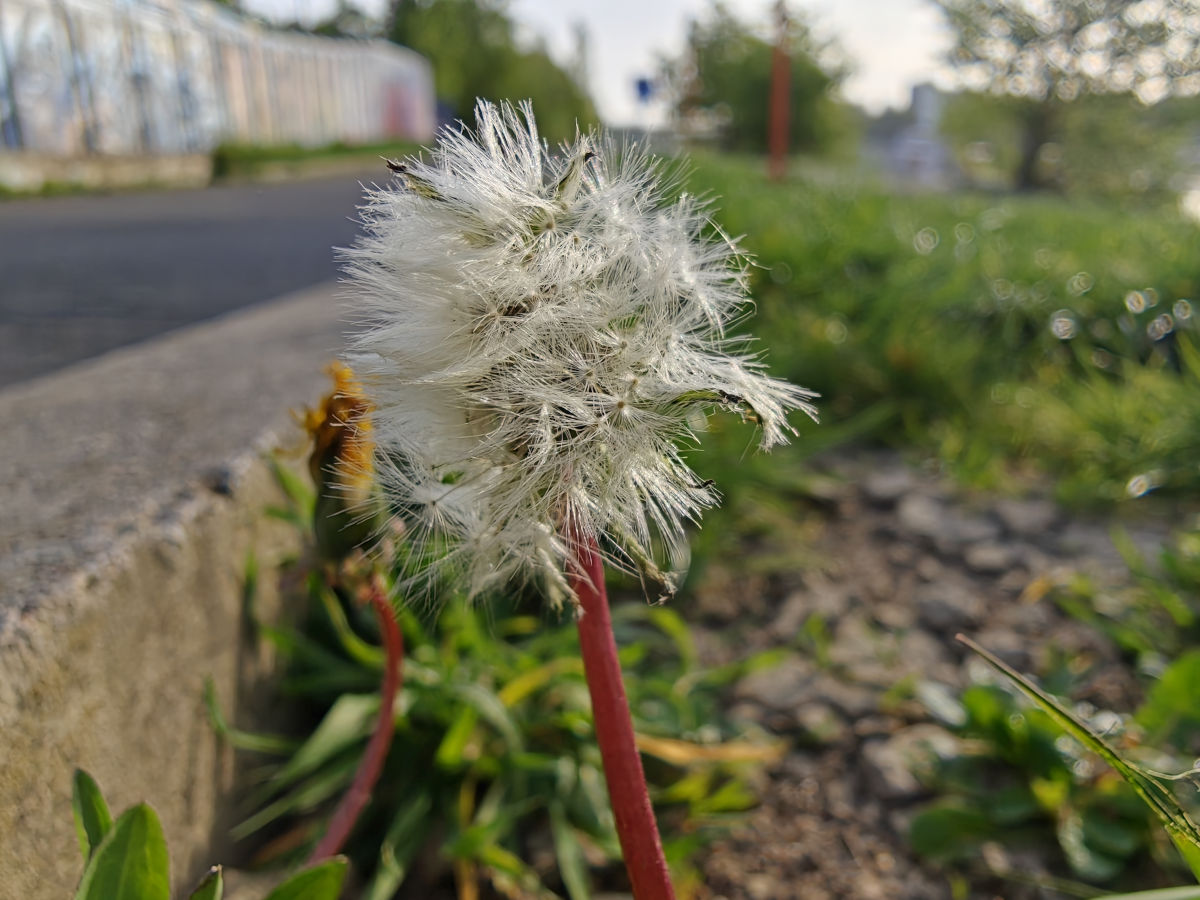 oppo find x9 ultra test