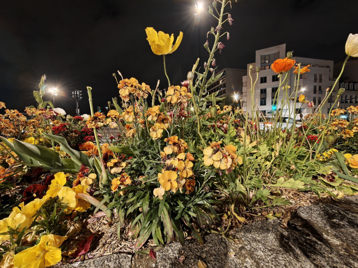 oppo find x9 ultra test