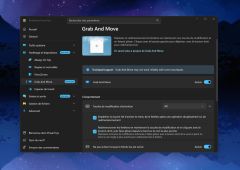 powertoys grab and move