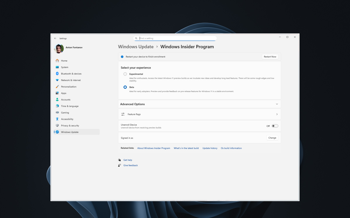windows 11 insider program