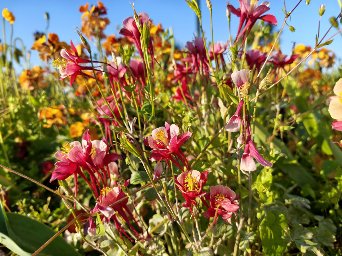 xiaomi poco f8 ultra test