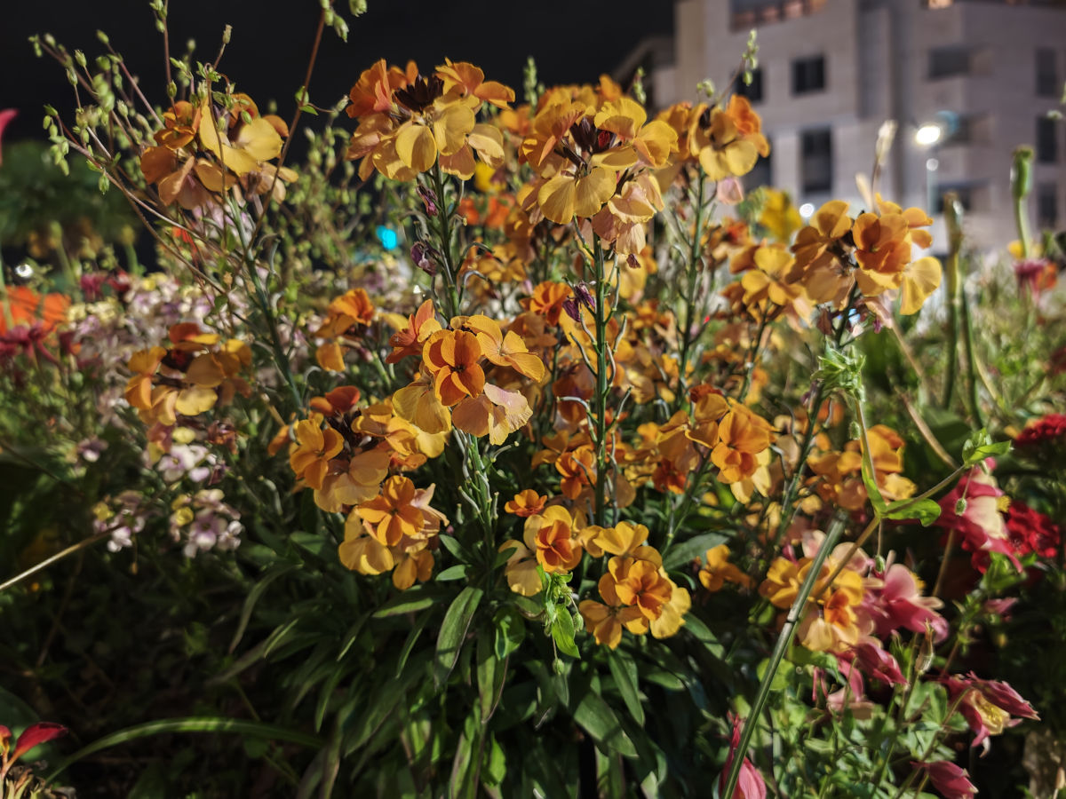 xiaomi poco f8 ultra test