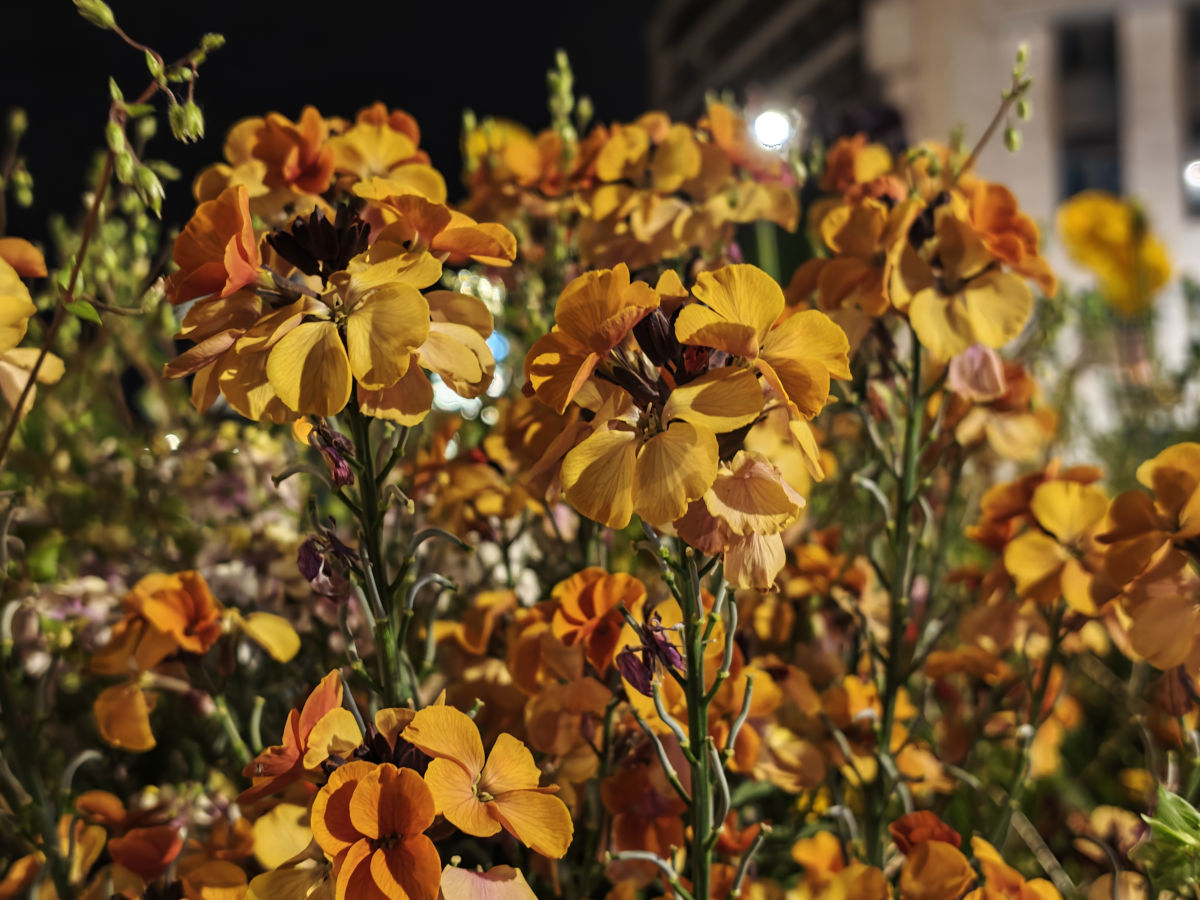 xiaomi poco f8 ultra test