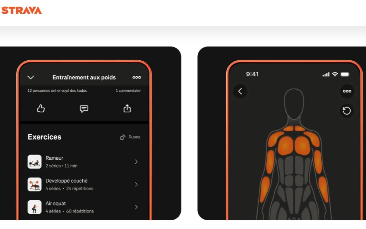 Strava musculation