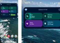 Widget Google Health 5.0