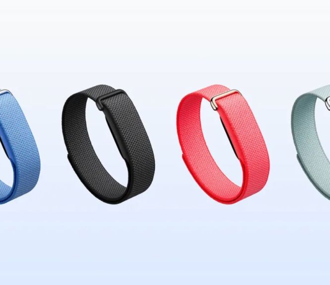 couleurs fitbit air