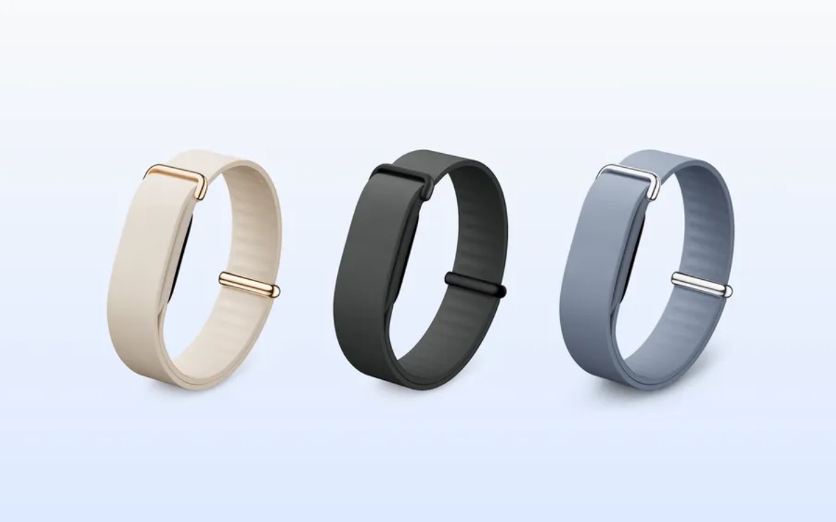 fitbit air or