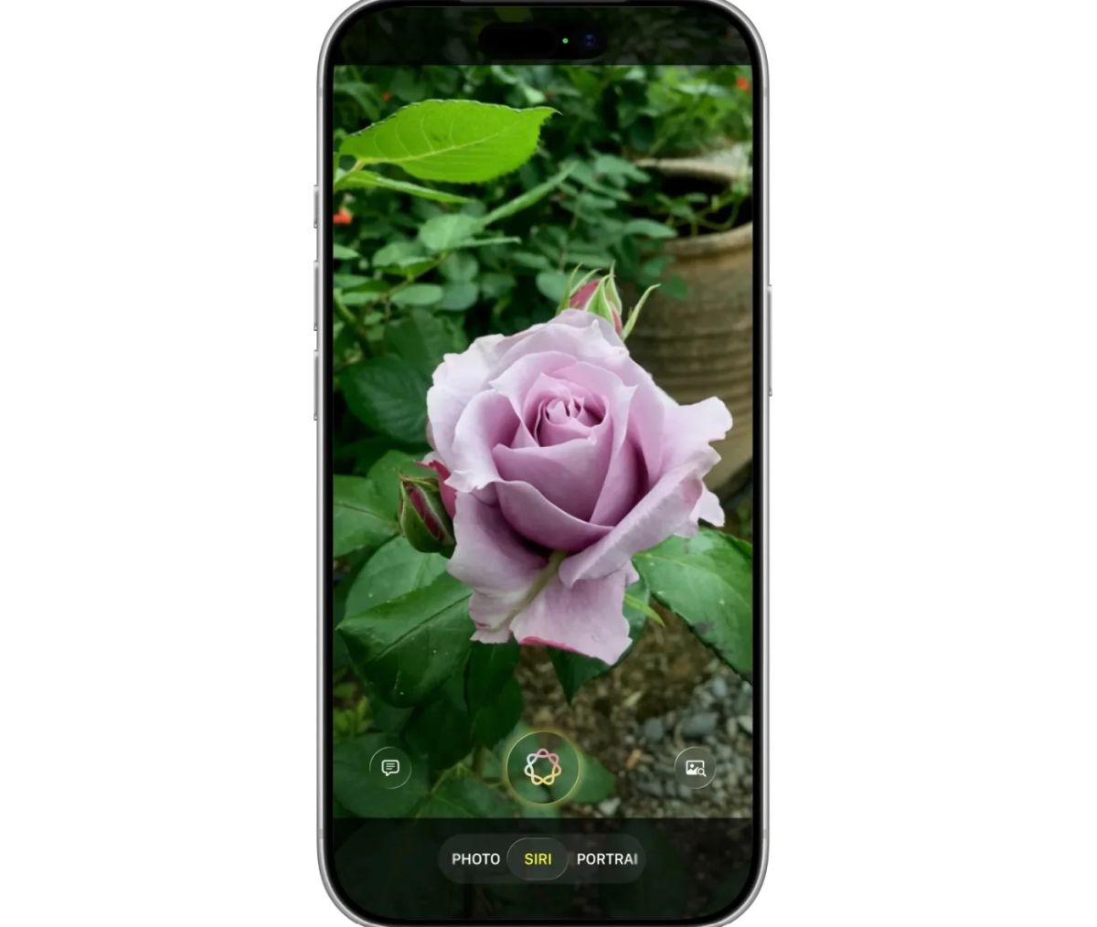 iOS 27 Siri
