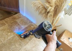 shark powerdetect pet pro clean empty