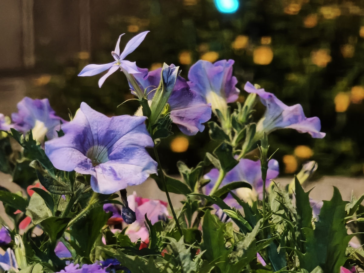 xiaomi 17t pro test