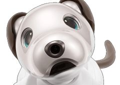 Aibo