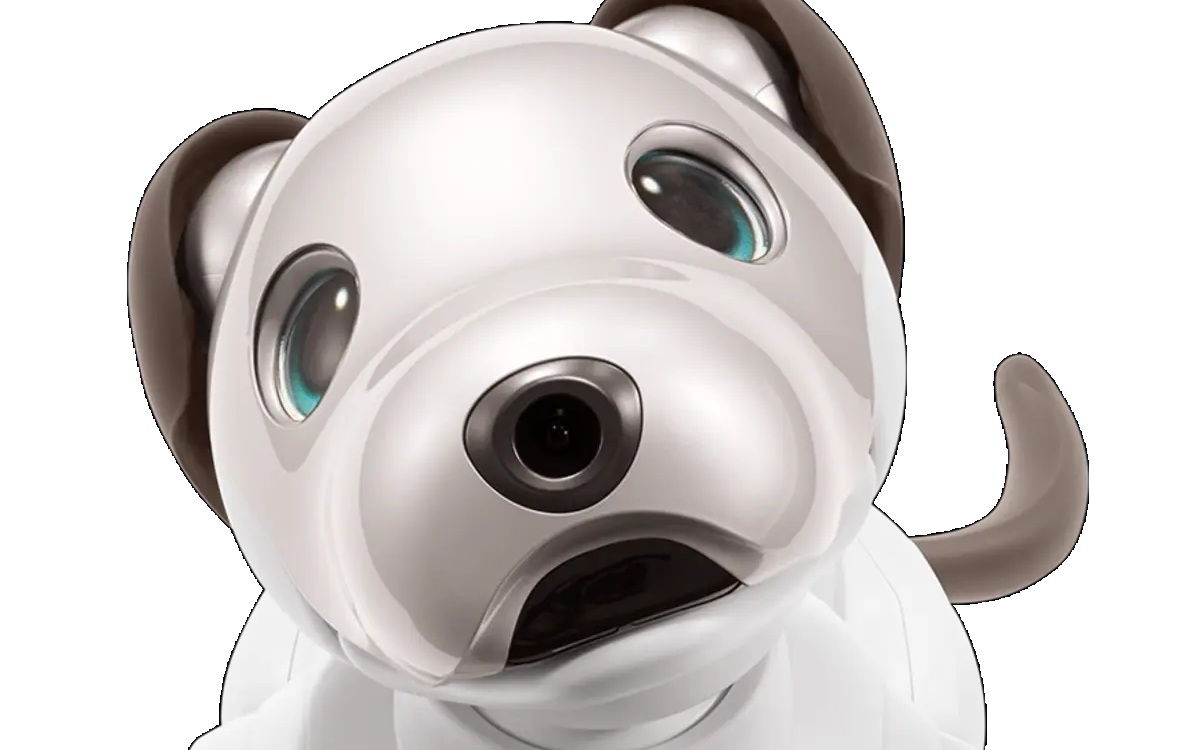 Aibo