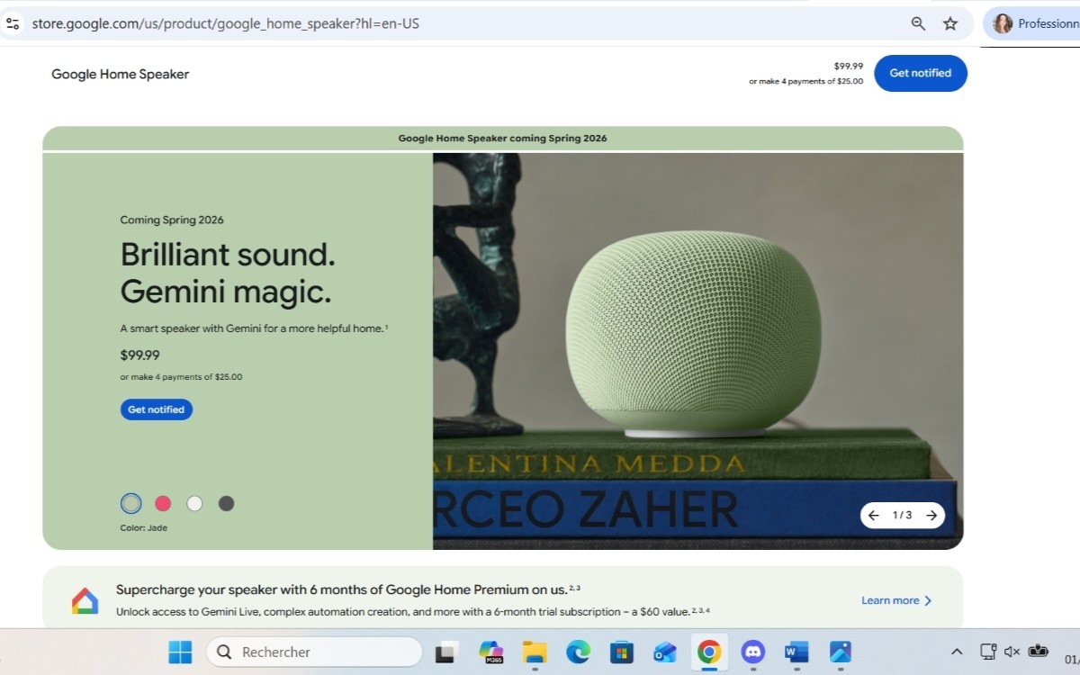 Google Home Speaker coloris