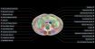 Midjourney veut scanner votre corps en 3D dans les spas du monde entier