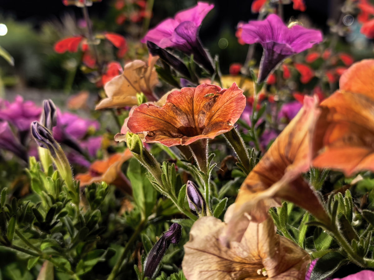 huawei mate x7 test