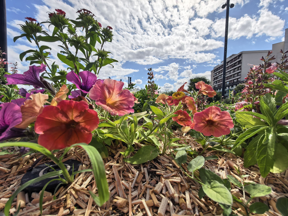 huawei mate x7 test