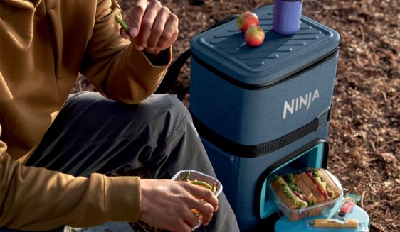 Ninja FrostVault Go