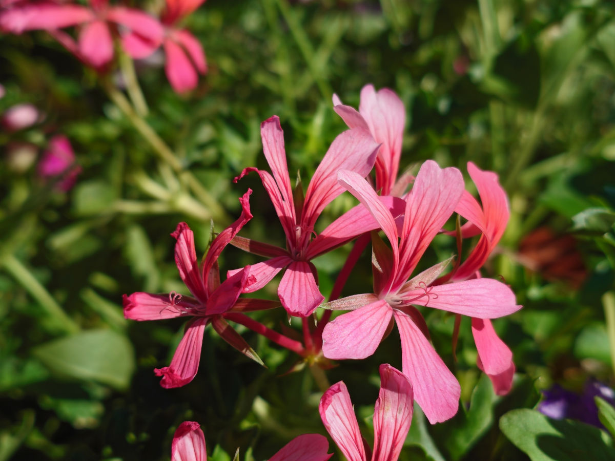 sony xperia 1 viii test