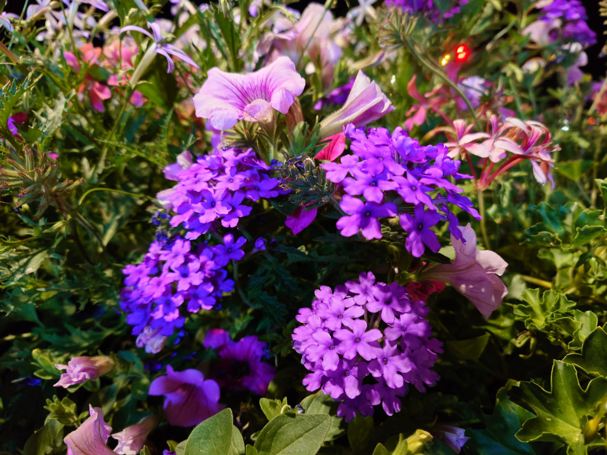 sony xperia 1 viii test