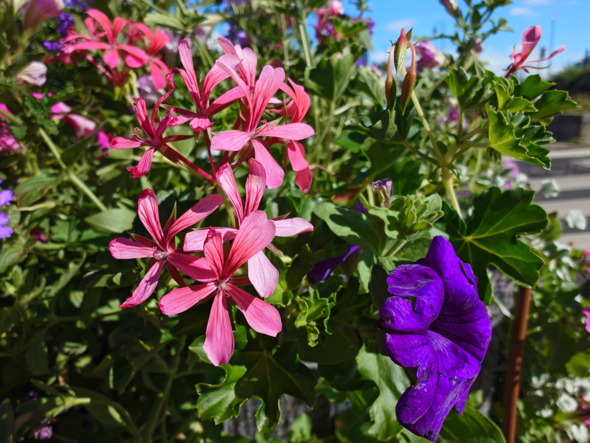sony xperia 1 viii test