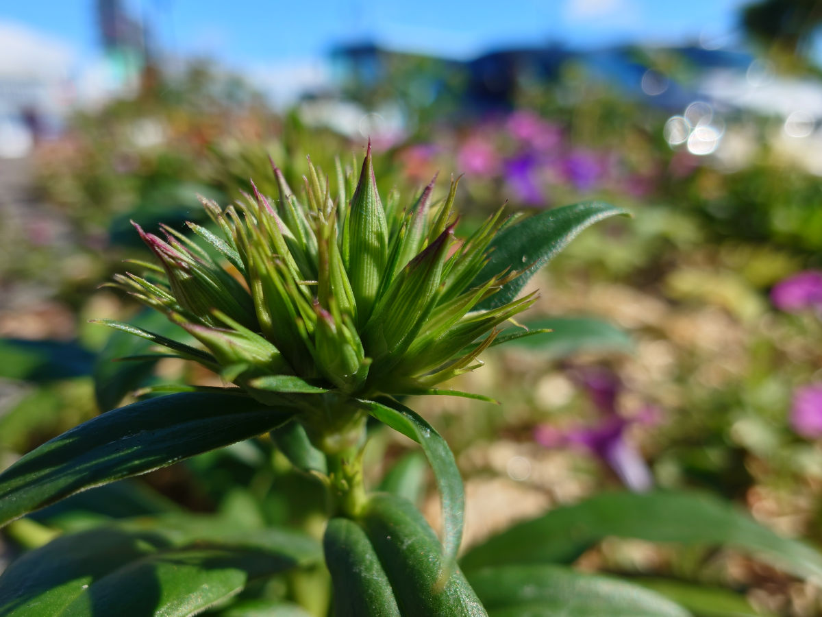 sony xperia 1 viii test