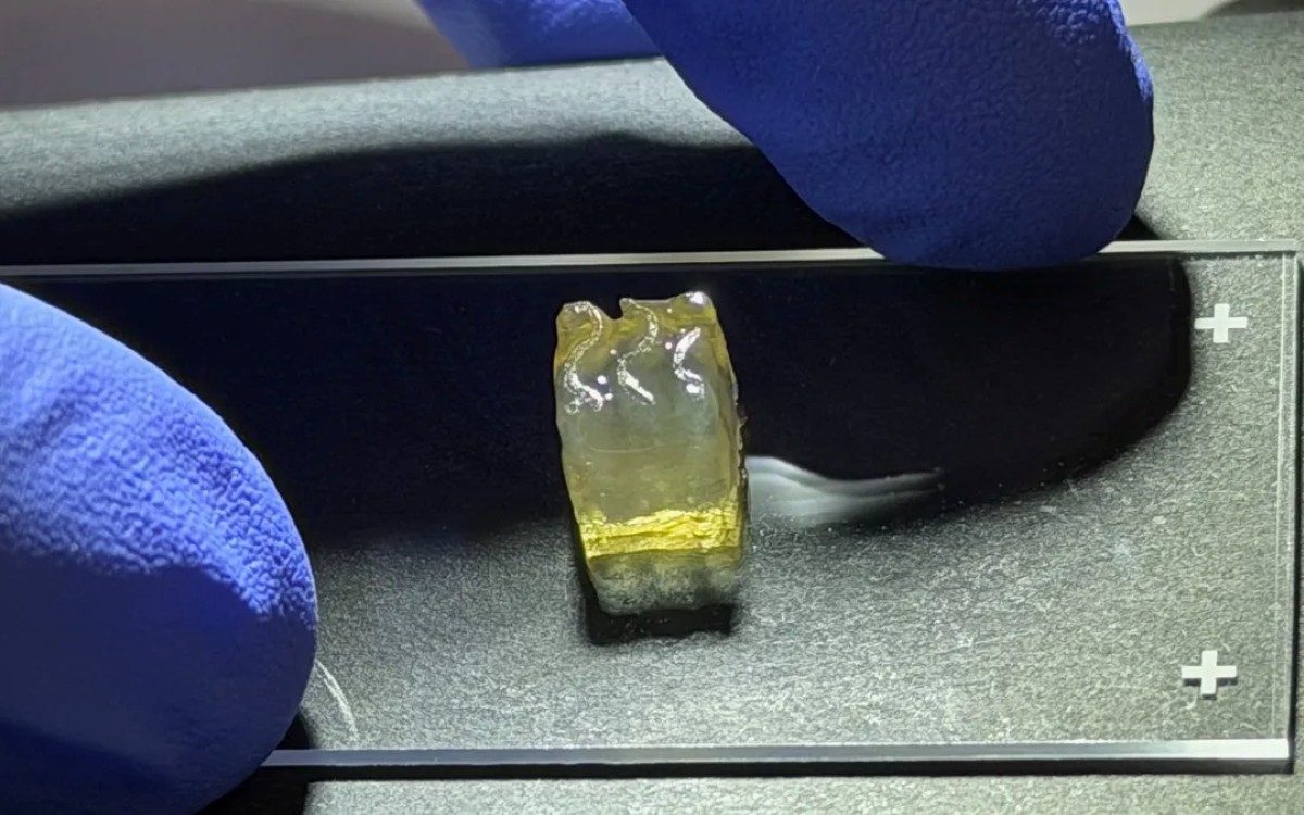 Auxilium Biotechnologies bio-impression 3D ISS
