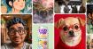 Muse Image : Meta lance son générateur d'images IA intégré à Instagram et WhatsApp