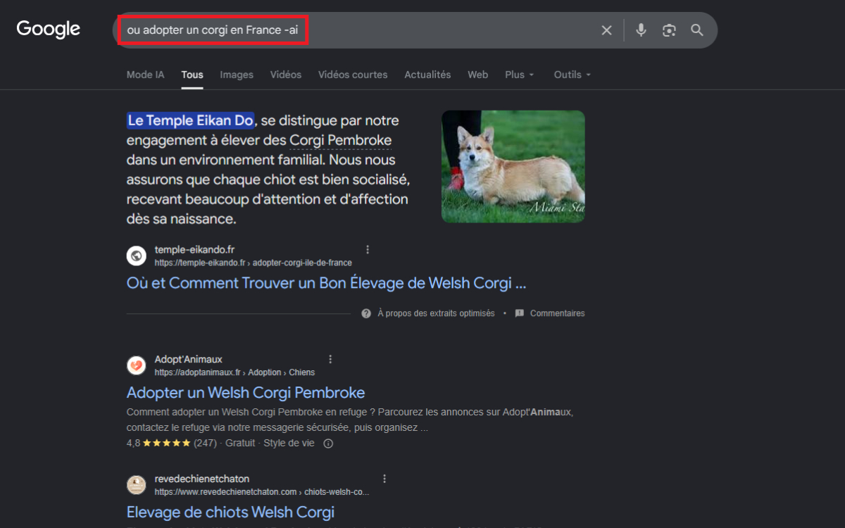 Supprimer Aperçu IA recherche Google