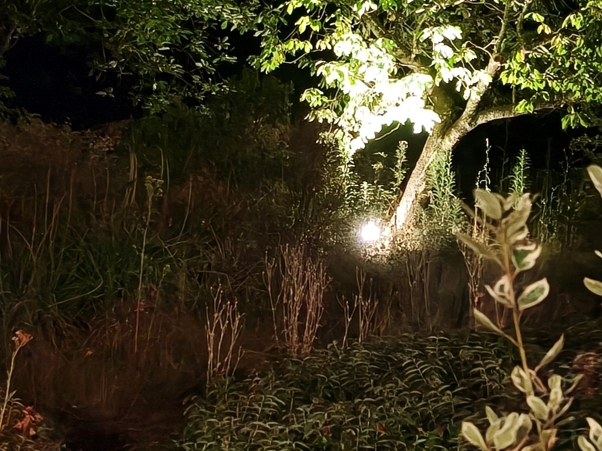 Test OPPO Reno16 Pro téléobjectif 7x de nuit sans mode nuit