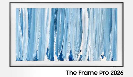 The Frame Pro