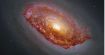 L'Ril noir : le travail d'équipe de Hubble et James Webb offre un regard inédit sur cette galaxie intrigante