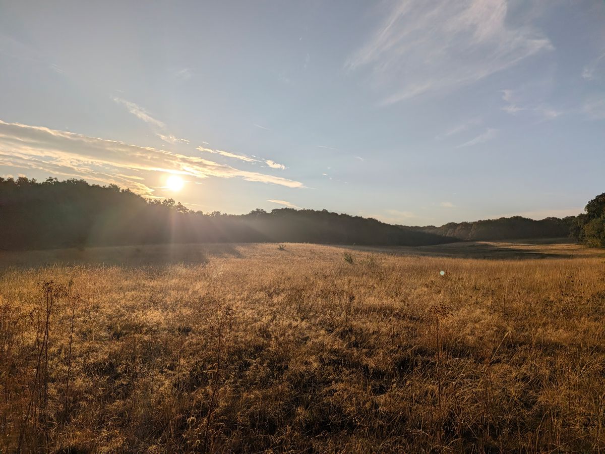 Test Pixel 11 grand angle 3