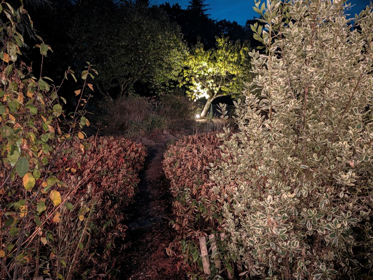 Test Pixel 11 grand angle Mode vision de nuit