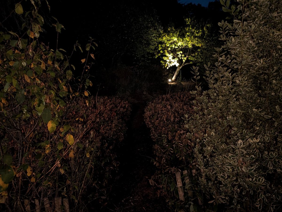 Test Pixel 11 grand angle de nuit