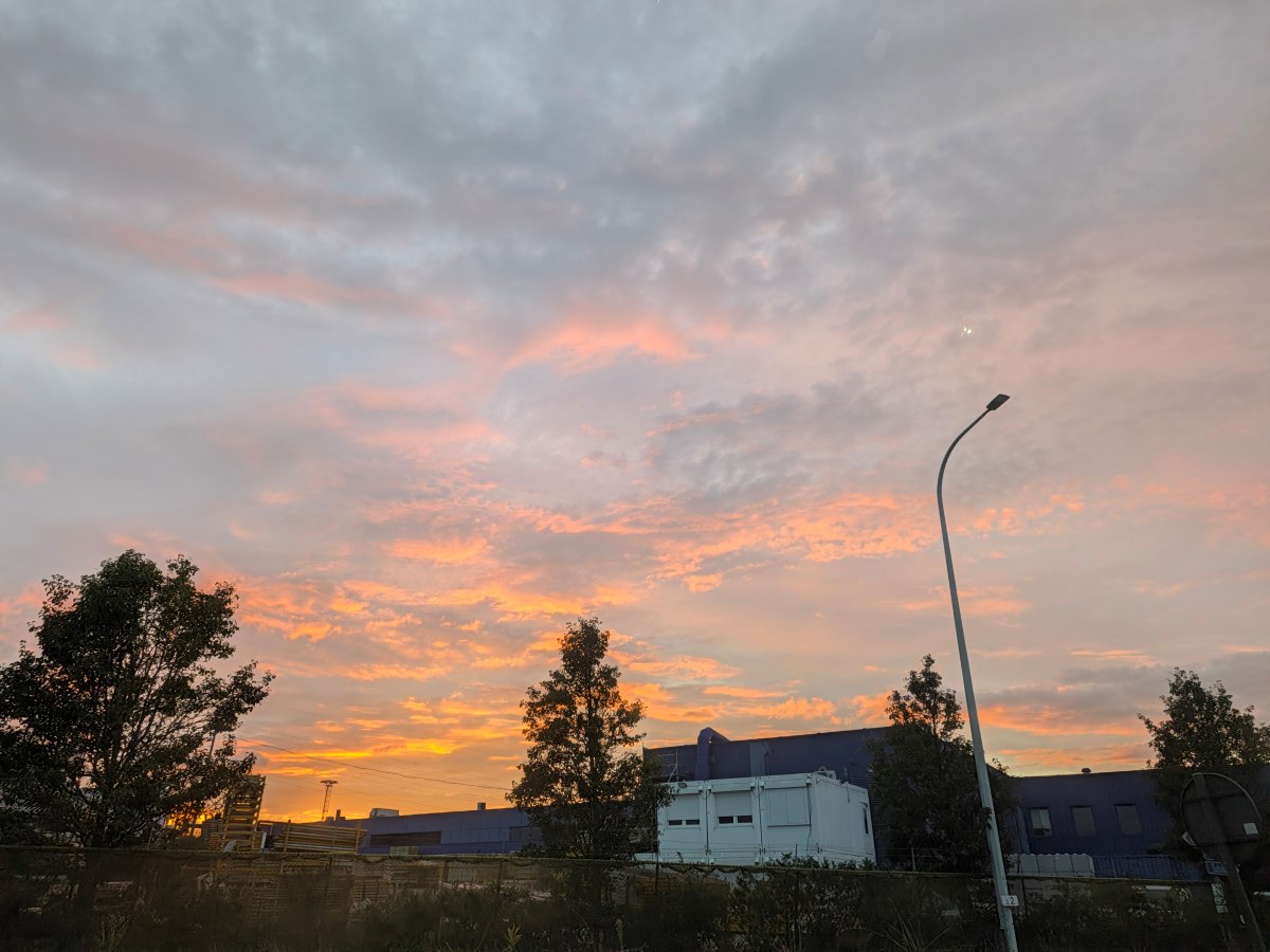 Test Pixel 11 grand angle en mouvement