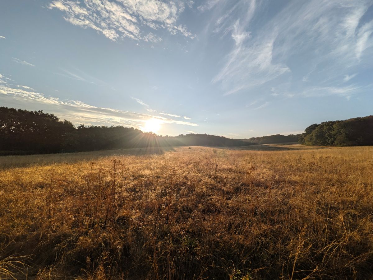 Test Pixel 11 ultra grand angle
