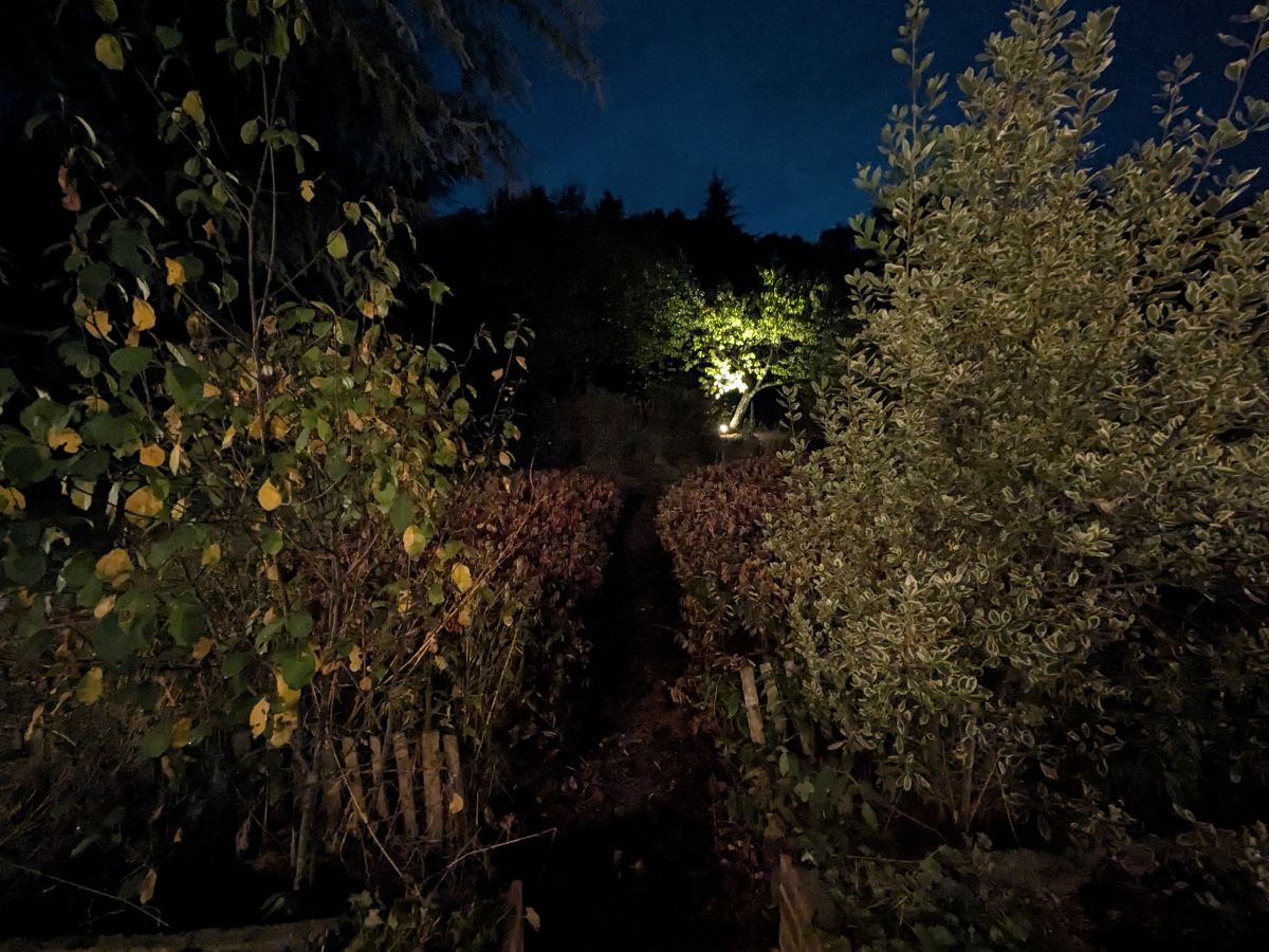 Test Pixel 11 ultra grand angle sans Mode vision de nuit
