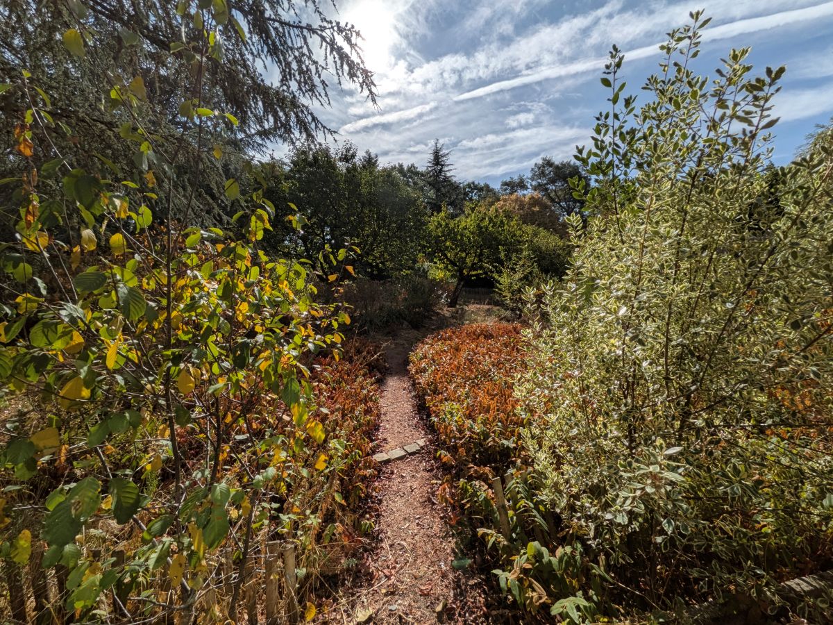 Test Pixel 11 ultra grand angle