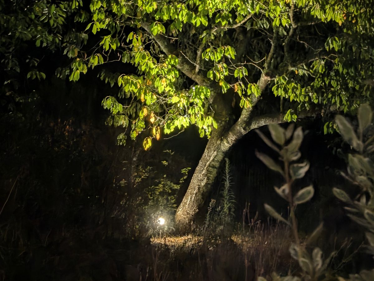 Test Pixel 11 zoom 5x Mode Vision de nuit