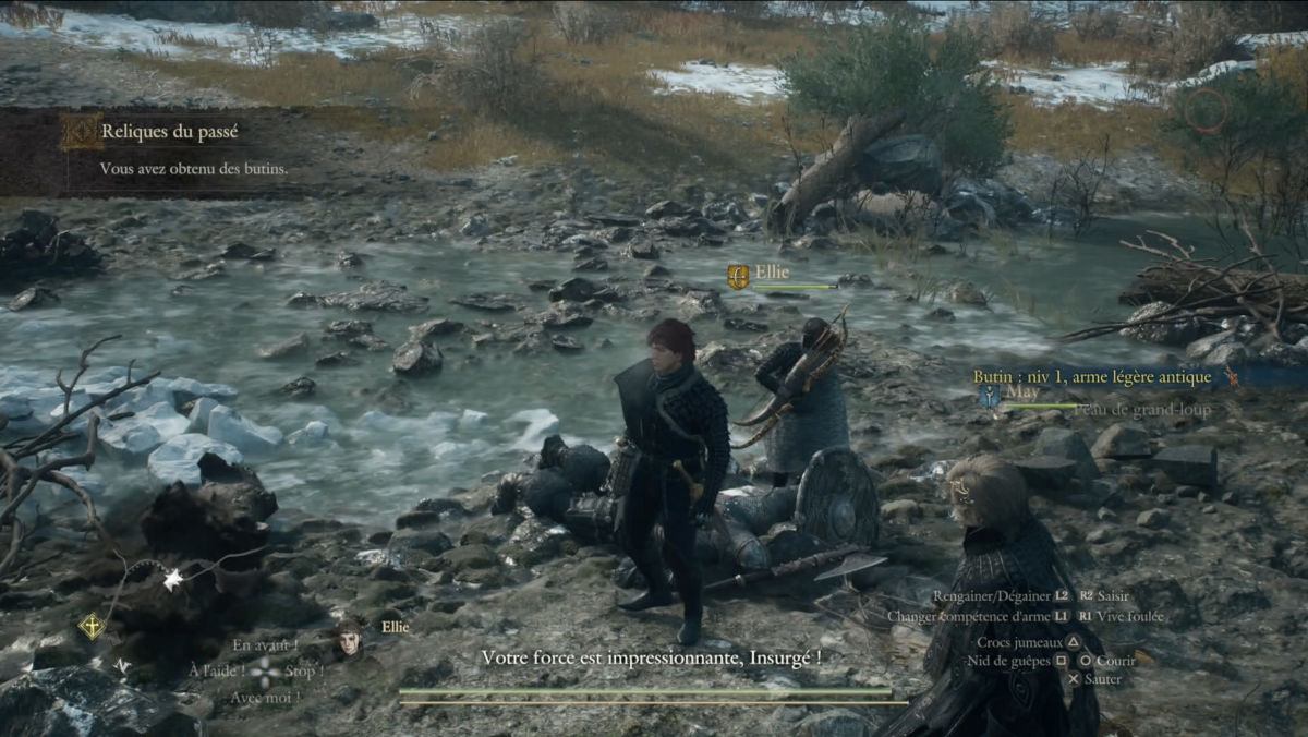 dragons dogma 2 dark arisen