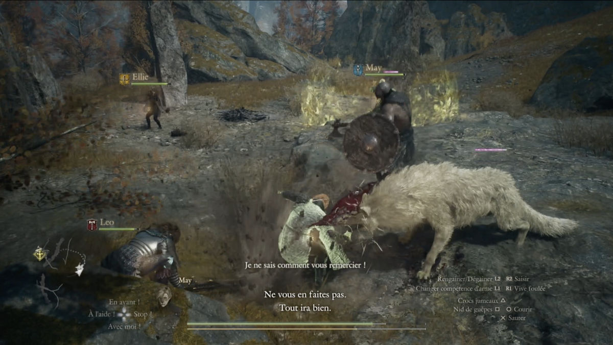 dragons dogma 2 dark arisen
