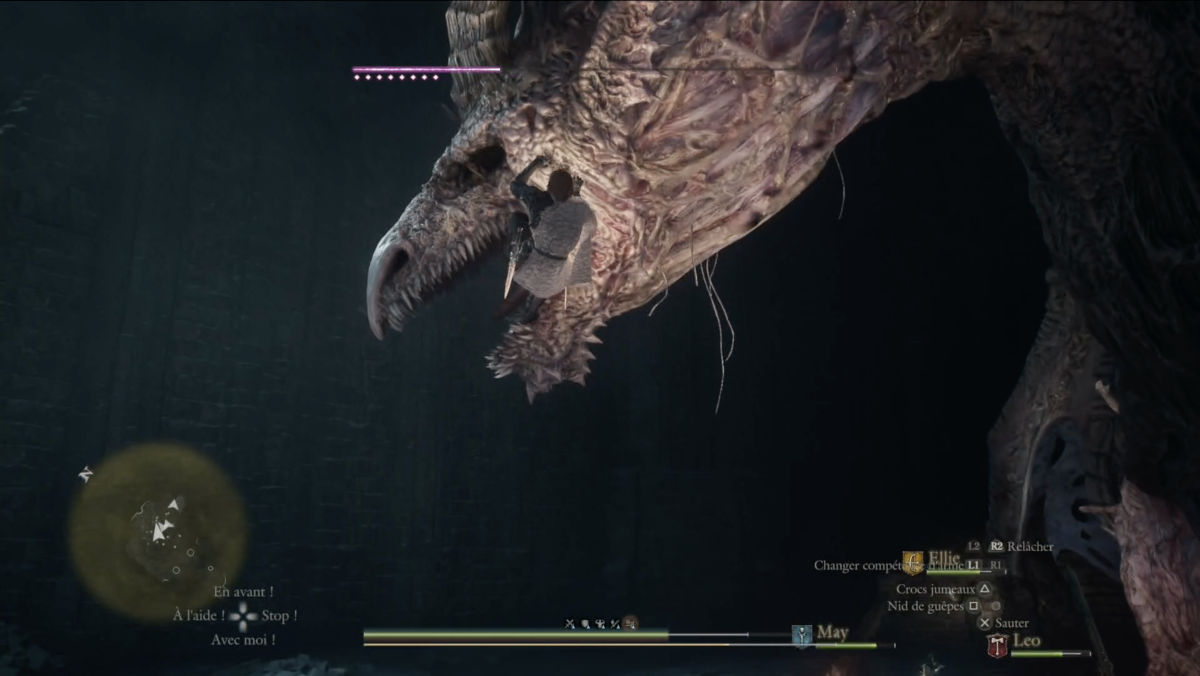 dragons dogma 2 dark arisen