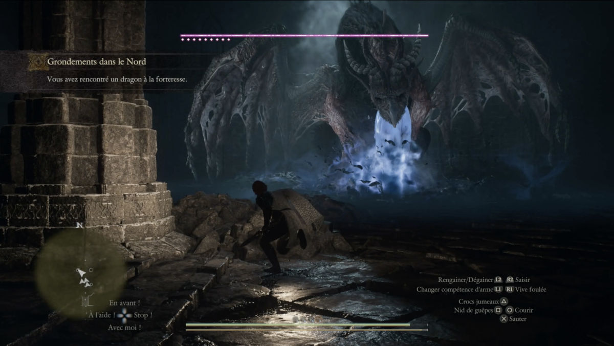 dragons dogma 2 dark arisen