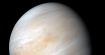 Ce phénomène transforme Vénus en croissant de Lune, voici comment l'observer cette semaine