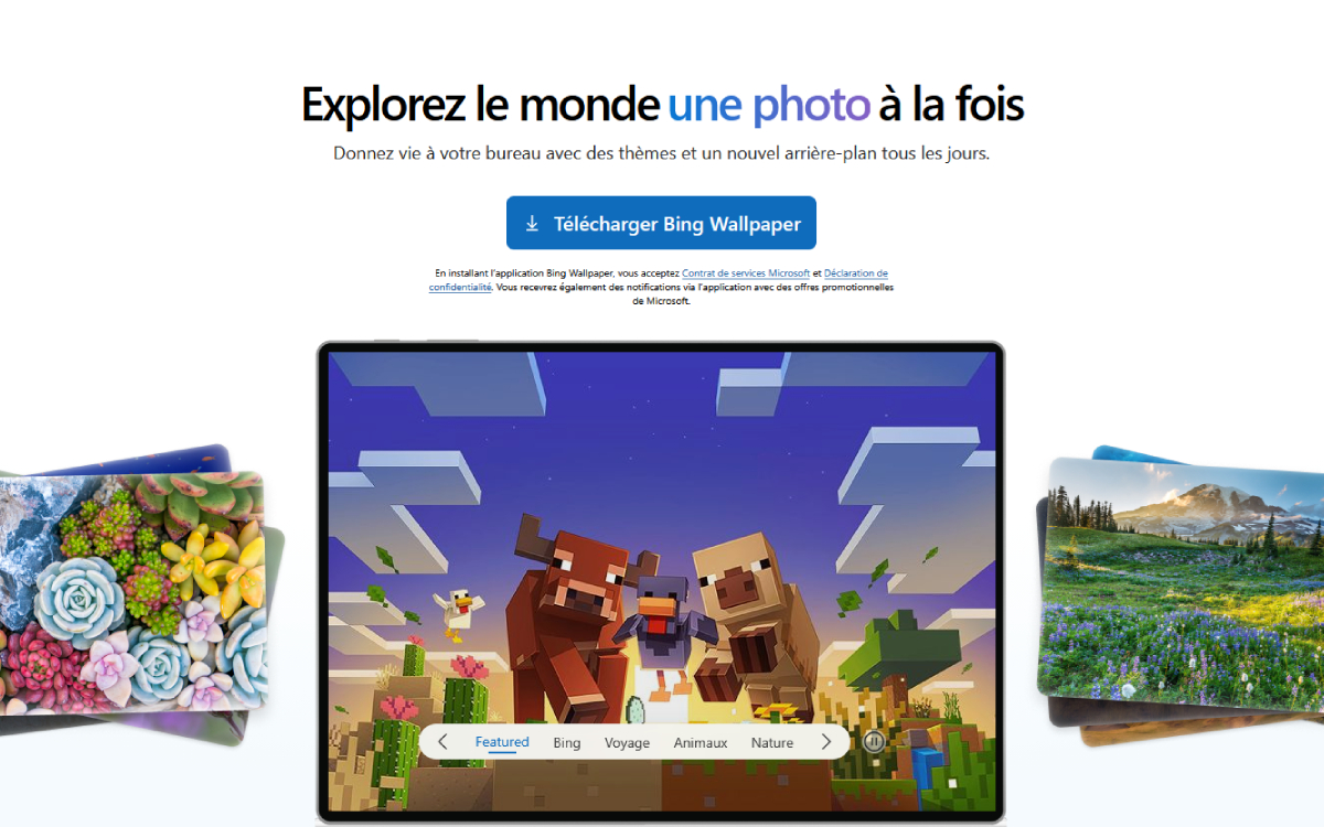 Bing Wallpaper publicité