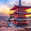 Ubigi Japon