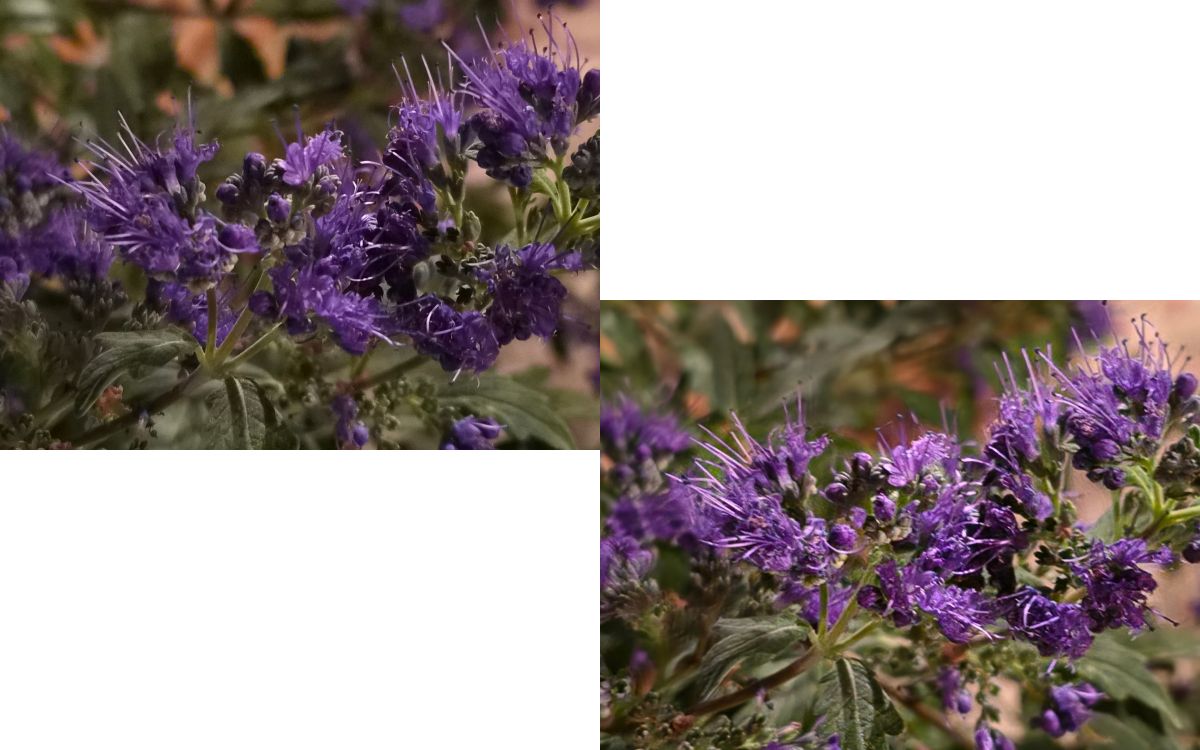 Test Galaxy S26 FE téléobjectif zoom 3x sans et avec mode nuit