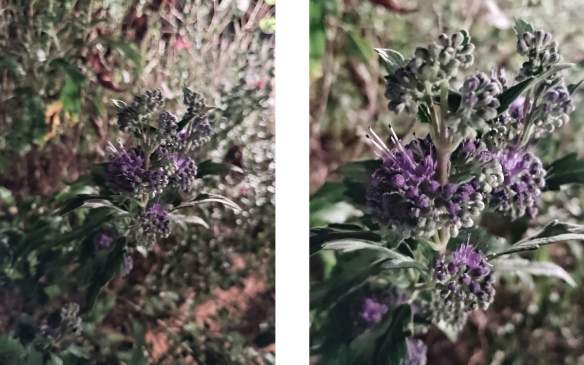 Test Redmi Note 17 5G capteur grand angle zoom 2x et 1x de nuit