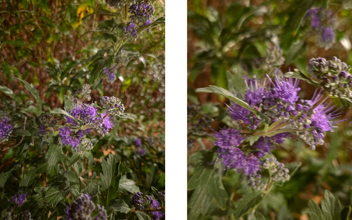 Test Samsung Galaxy Z Flip8 capteur grand angle zoom 1x et 2x mode Nuit